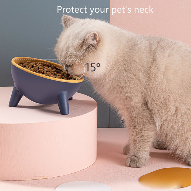 Bowl With Stand Pet Feeding