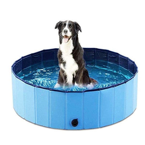 Pet Swimming Pool