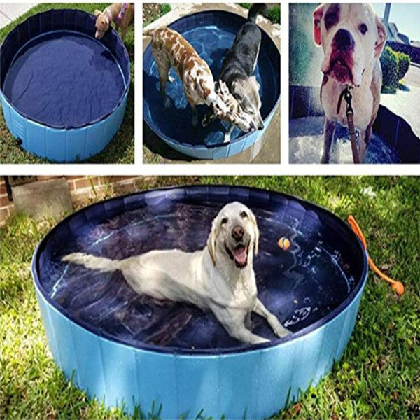Pet Swimming Pool