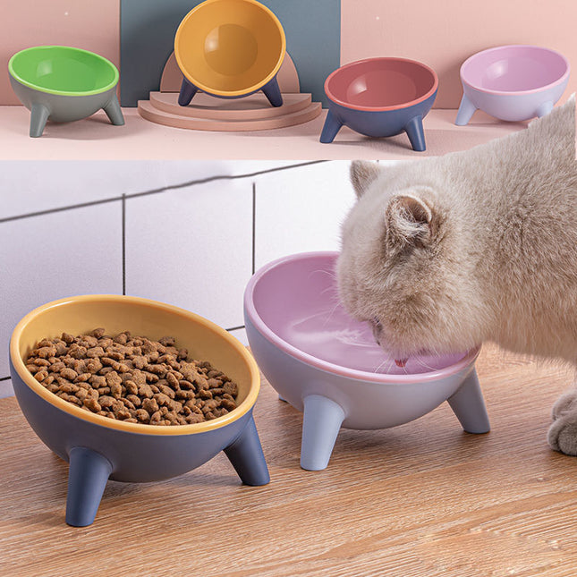 Bowl With Stand Pet Feeding