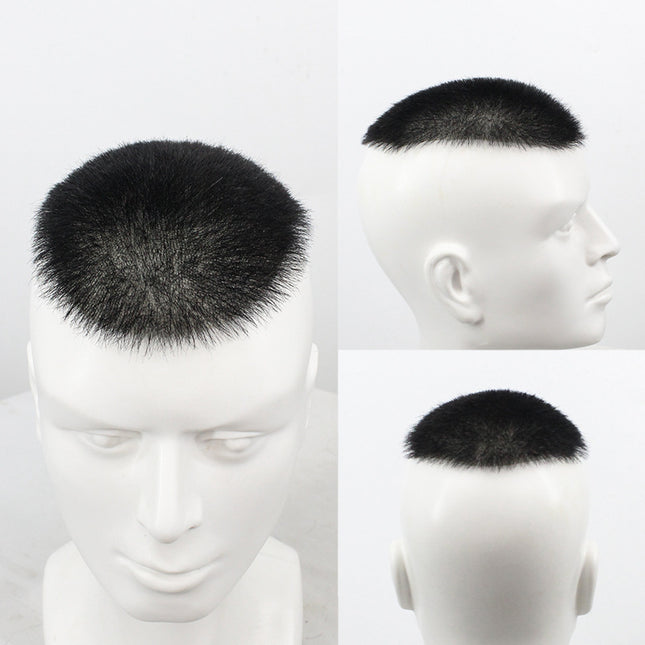 Biological Scalp Men Wig Set